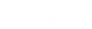 TSUNG logo with tagline A distributed Load Testing Tool