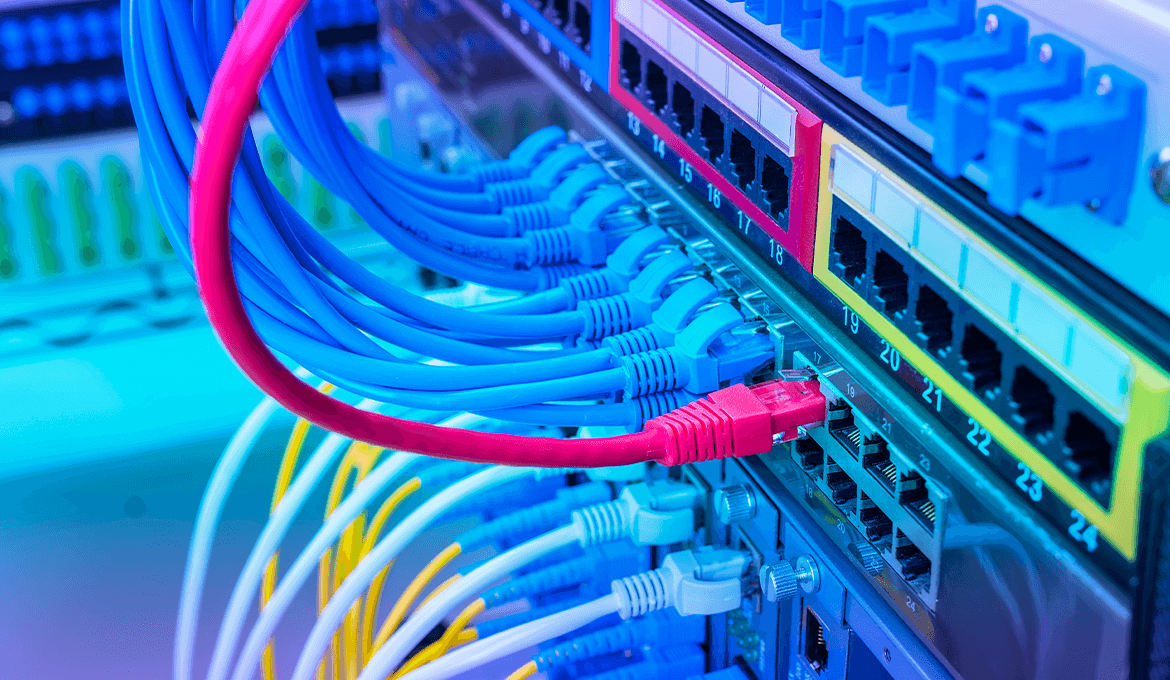 Close-up of network cables connected to server ports, representing SaaS application infrastructure