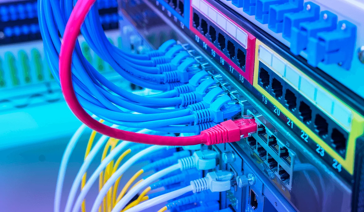Close-up of network cables connected to server ports, representing SaaS application infrastructure