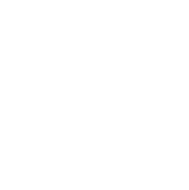 Circular badge reading AGILE CERTIFIED PRACTITIONER PMI-ACP CERTIFICATION