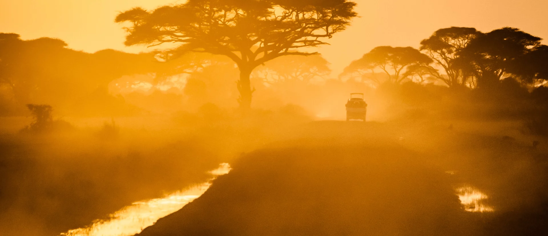 Safari vehicle driving along a dusty road at sunrise through acacia trees