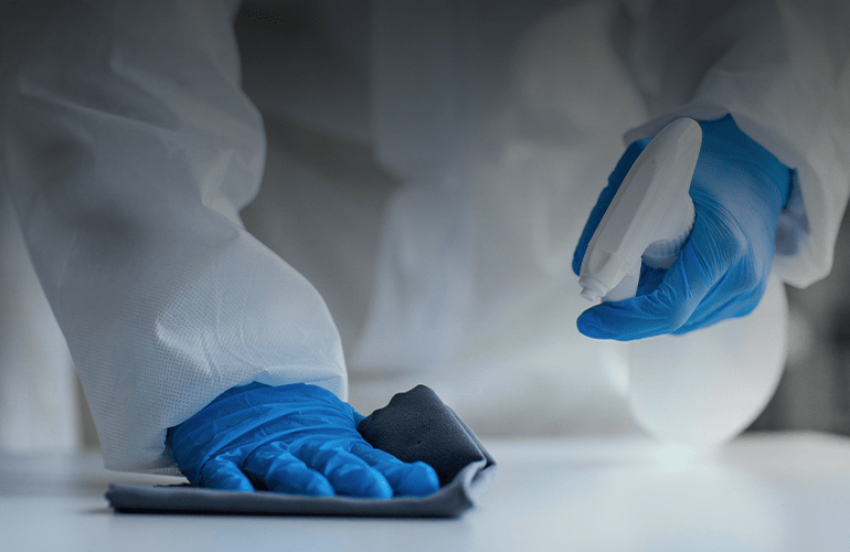 a1qa helps a US-based pest control company ensure high software quality